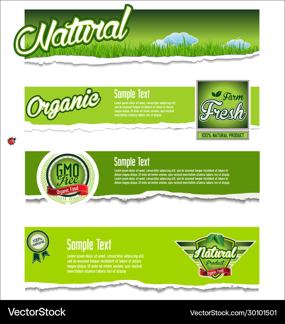 Ökologie Biologisch Natur grün Banner Sammlung Ökologie Biologisch Natur grün Banner Sammlung vektorbild
