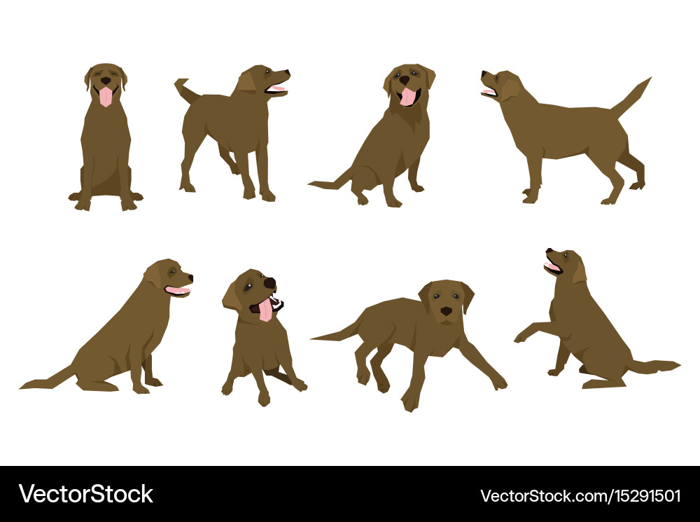 Labrador Dog Icon Set - Flat Style Vector Image