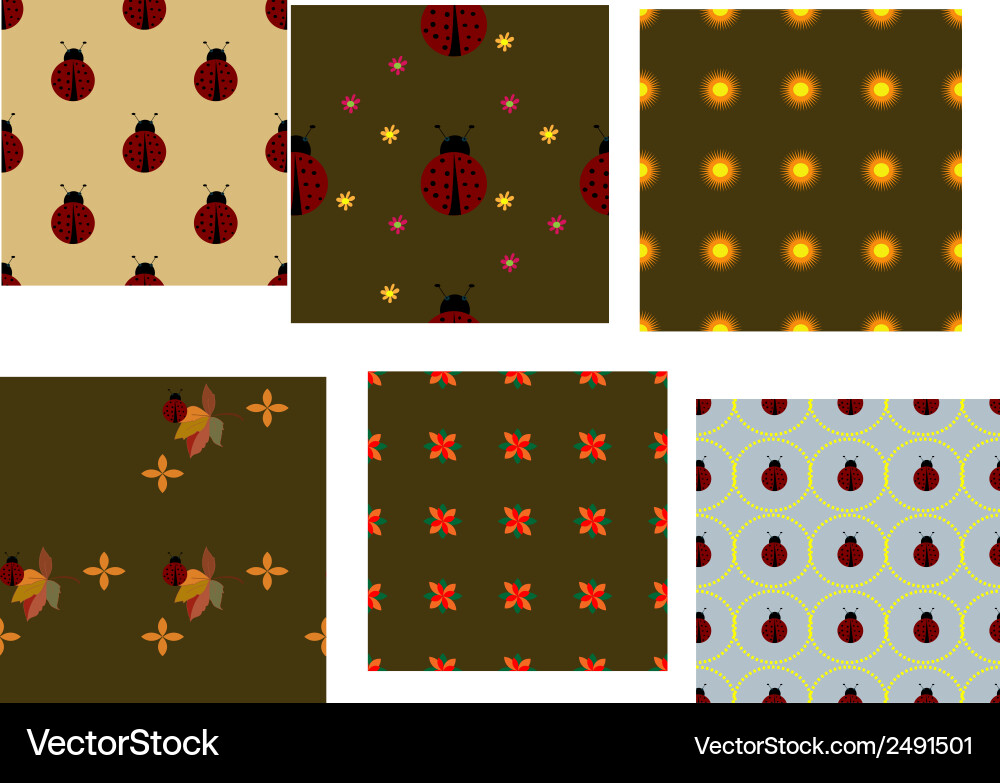 Ladybug pattern set vector image
