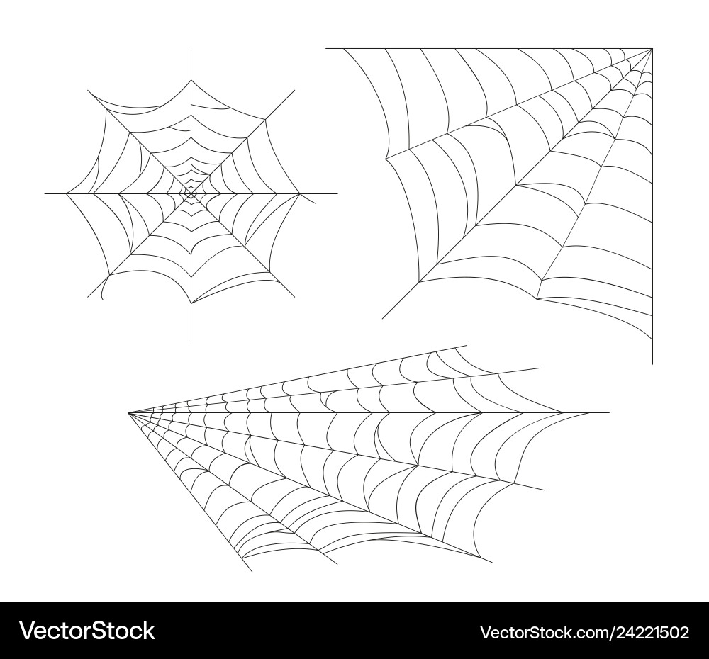 Set cobweb spider web Set cobweb spider web vector image