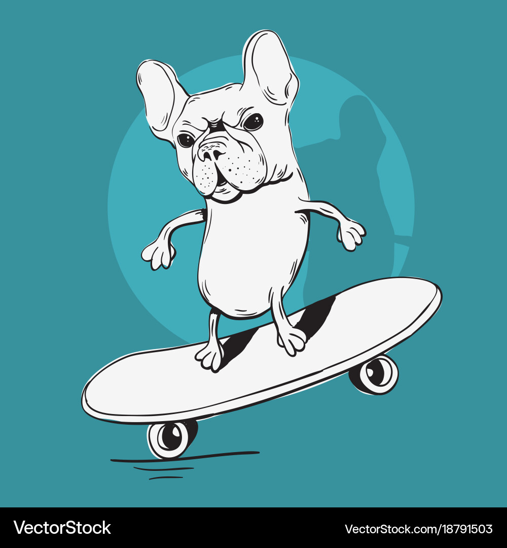 French Bulldog on Skateboard Vector Image
