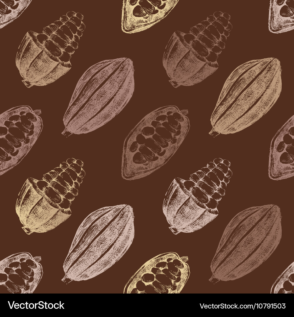 Seamless pattern with cocoa beans Vector Image