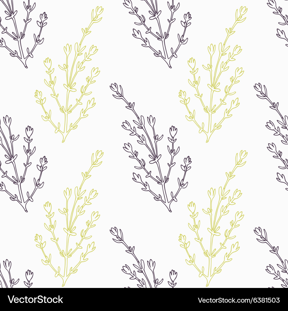 Stylized Thyme Branch Pattern vector image