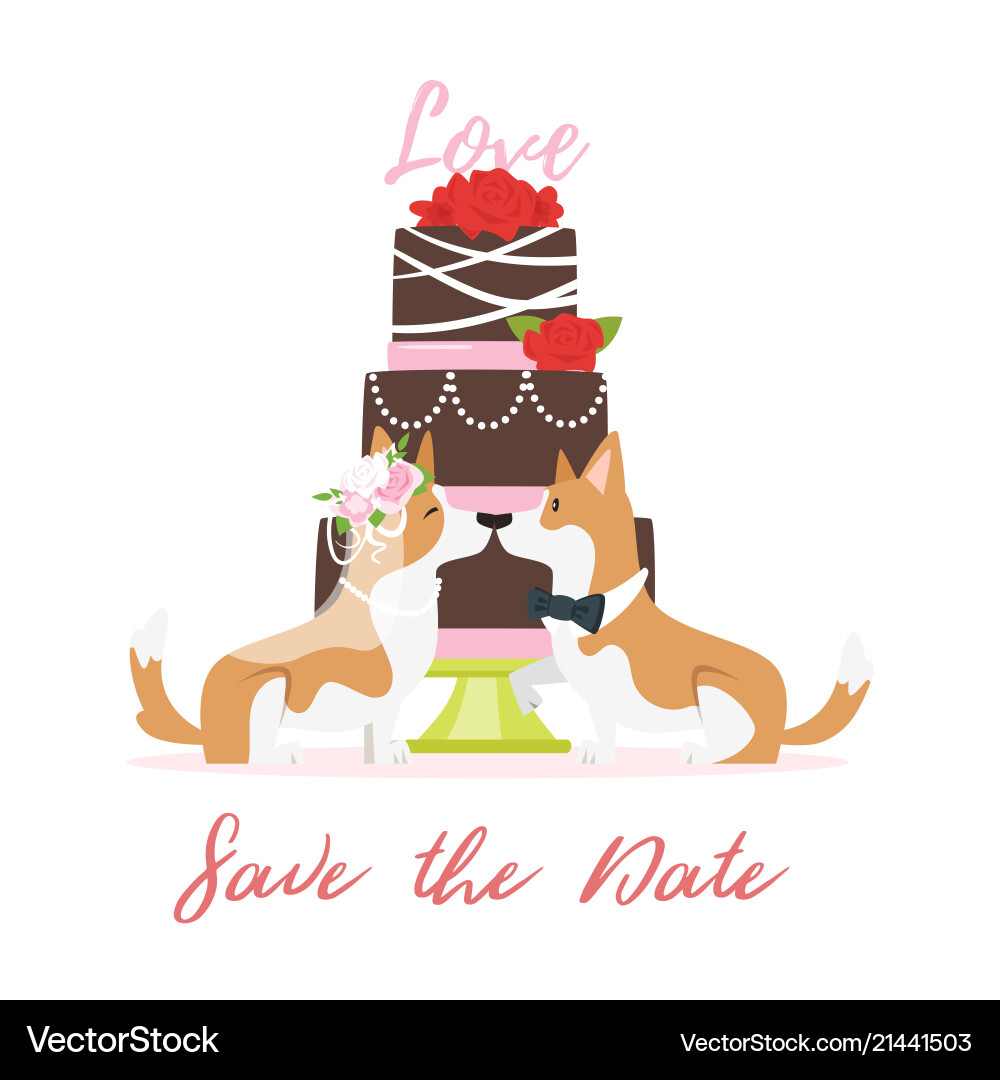 Wedding day with dog Wedding day with dog vector image
