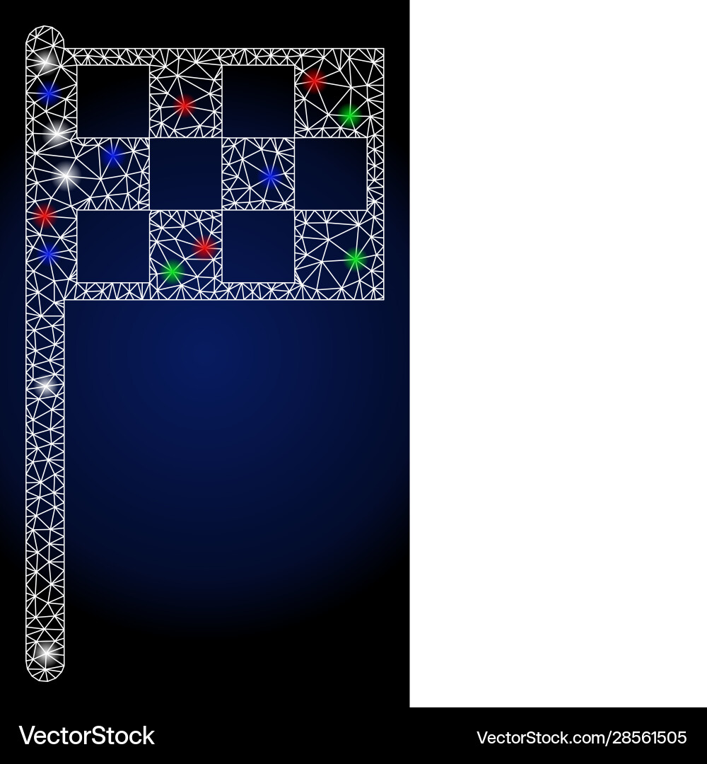 Flare mesh network final flag with spots Flare mesh network final flag with spots vector image
