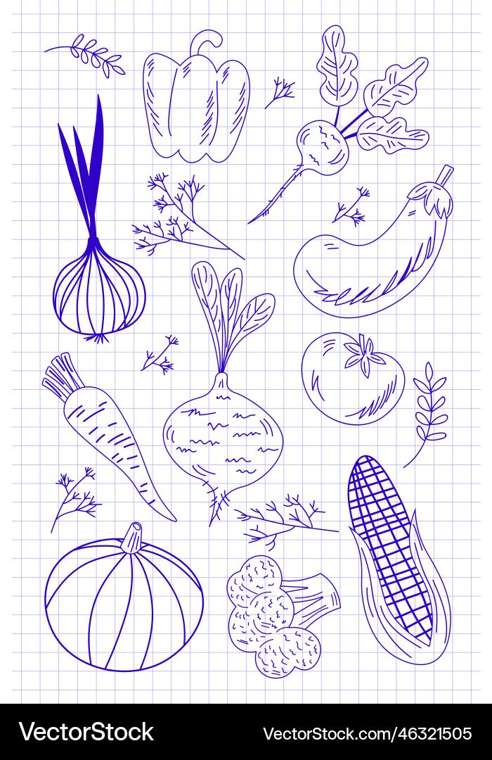 Set of line vegetables on notebook page background Set of line vegetables on notebook page background Vector Image