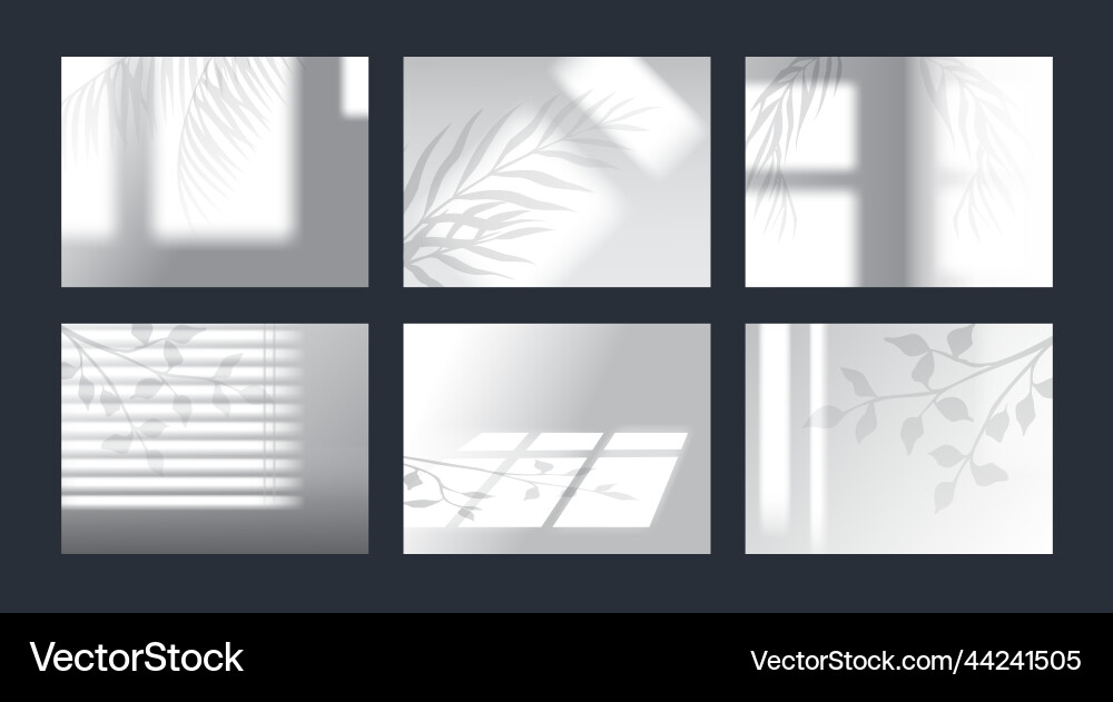 Tree shadow from window overlay light leaves vector image