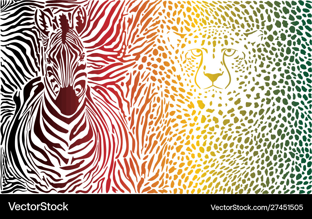 Zebra and cheetah color pattern vector image