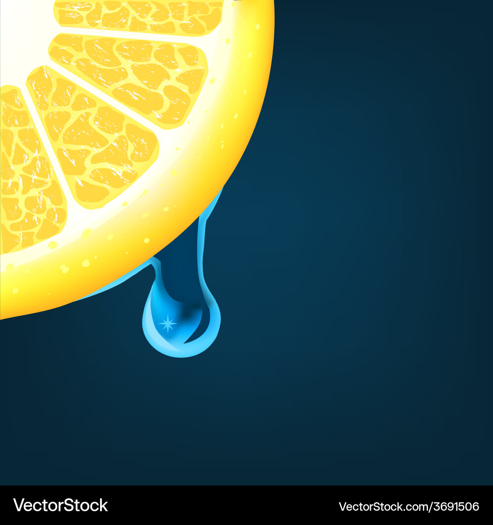 Flowing down drop on an orange segment vector image