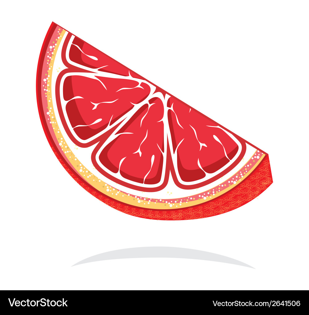 Slice of grape vector image