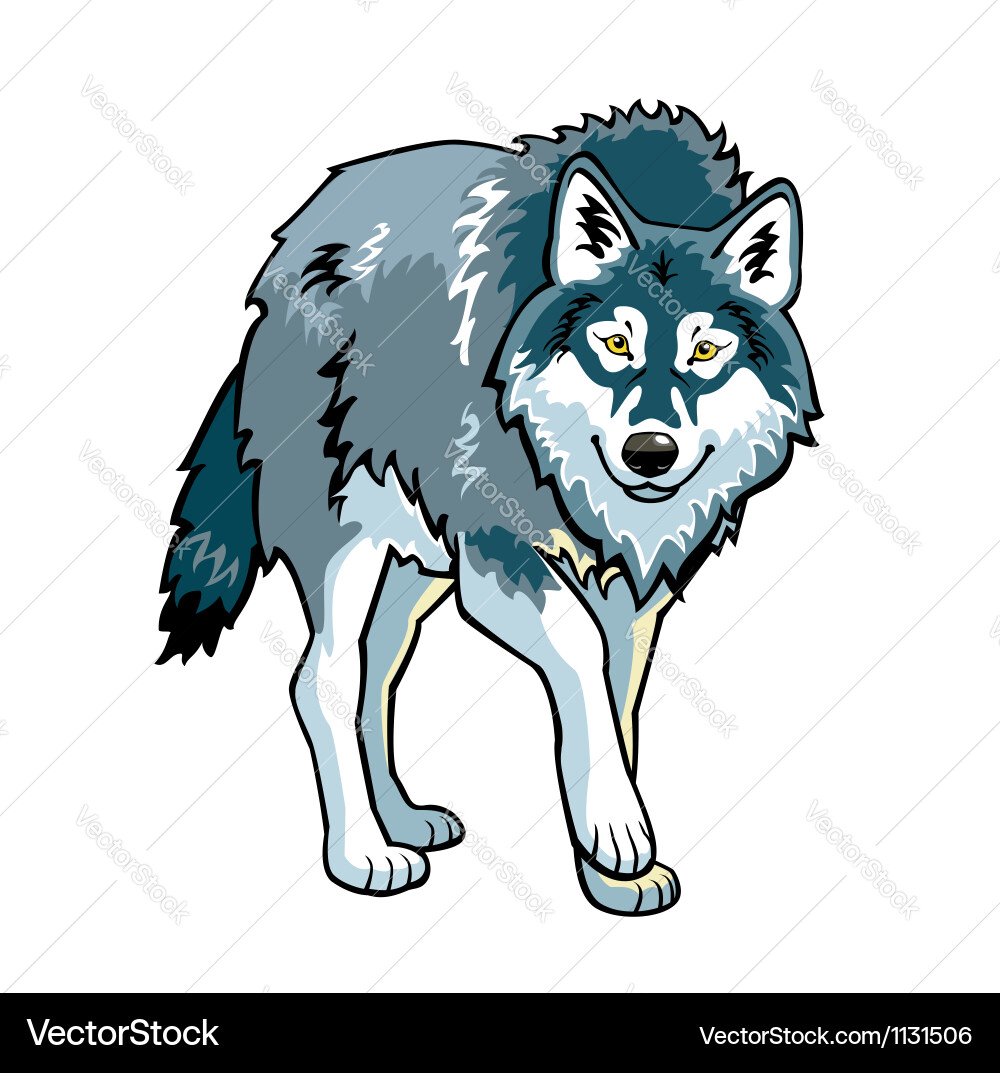 Standing Gray Wolf Royalty Free Vector Image - VectorStock