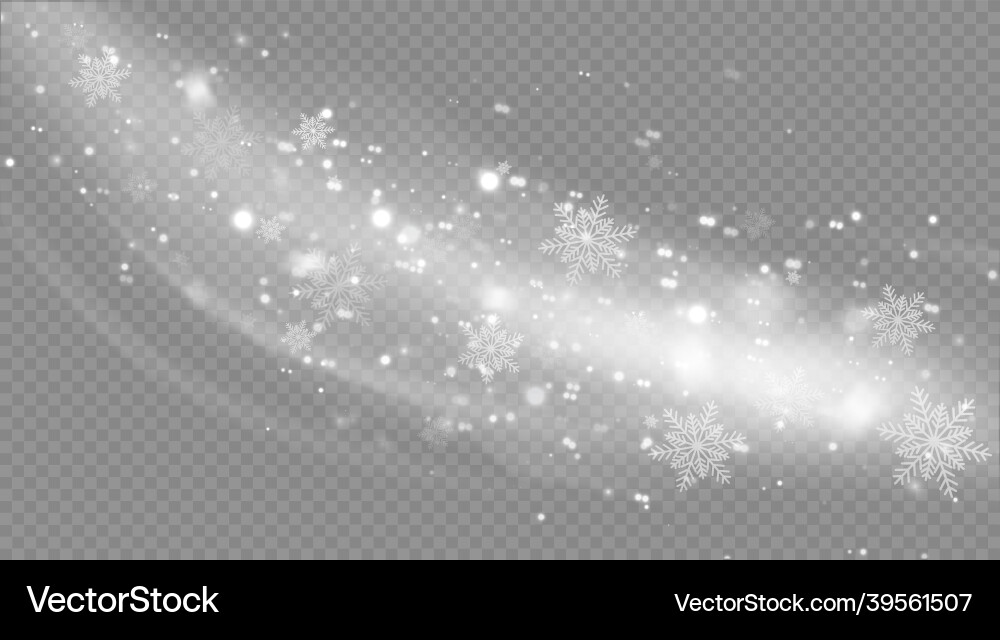 Snow isolated snowfall vector image