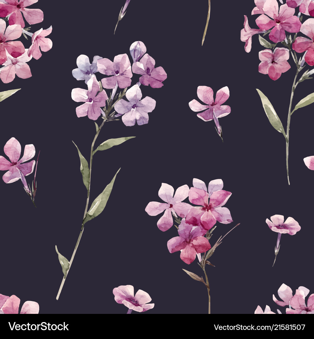 Watercolor floral phlox pattern Watercolor floral phlox pattern vector image