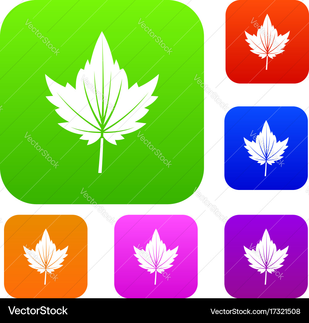 Currant tree leaf set color collection vector image