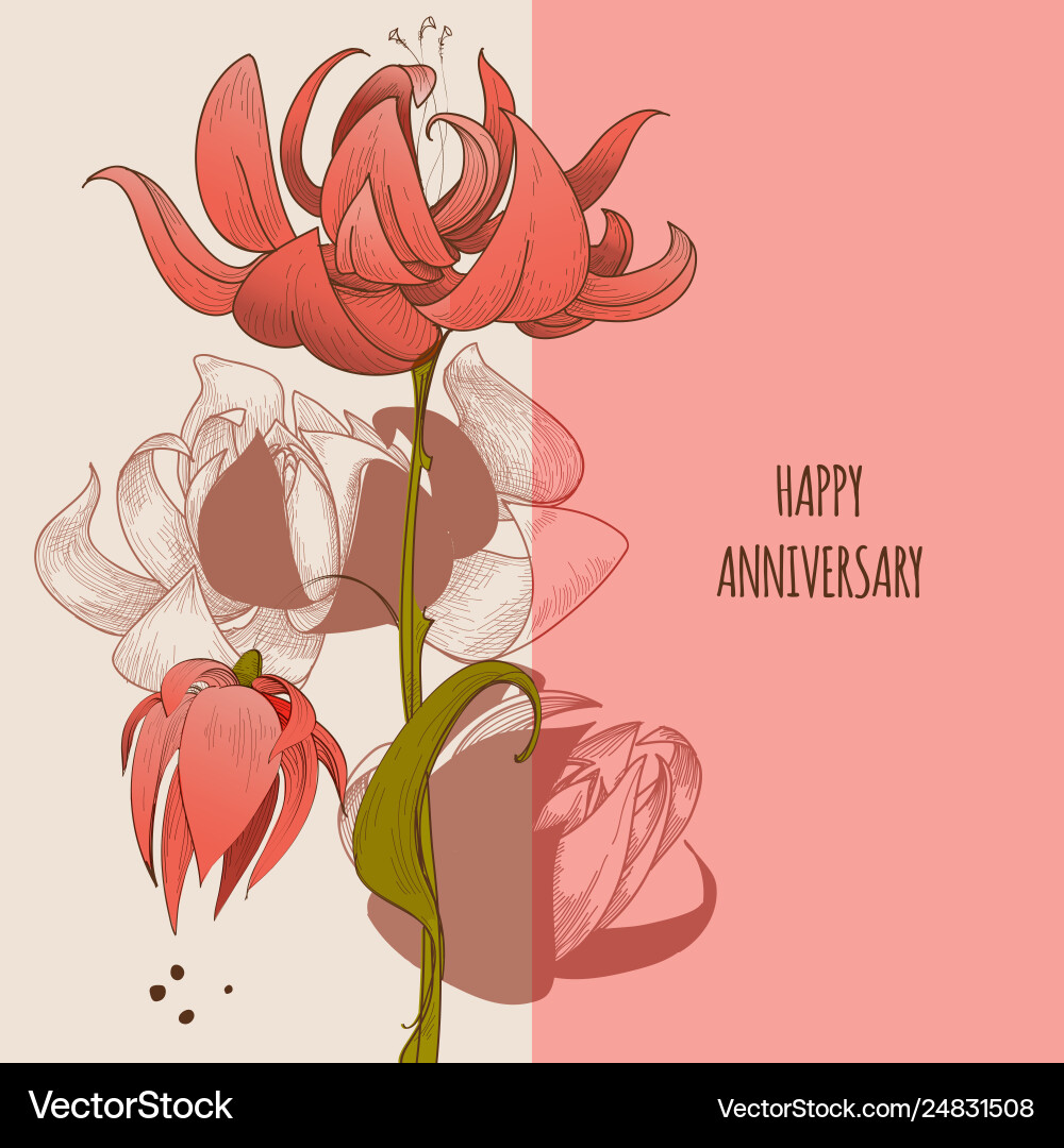 Floral greeting card cute flowers anniversary Floral greeting card cute flowers anniversary vector image