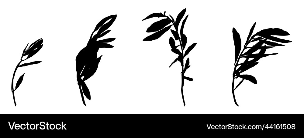 Olive branch isolated element Royalty Free Vector Image
