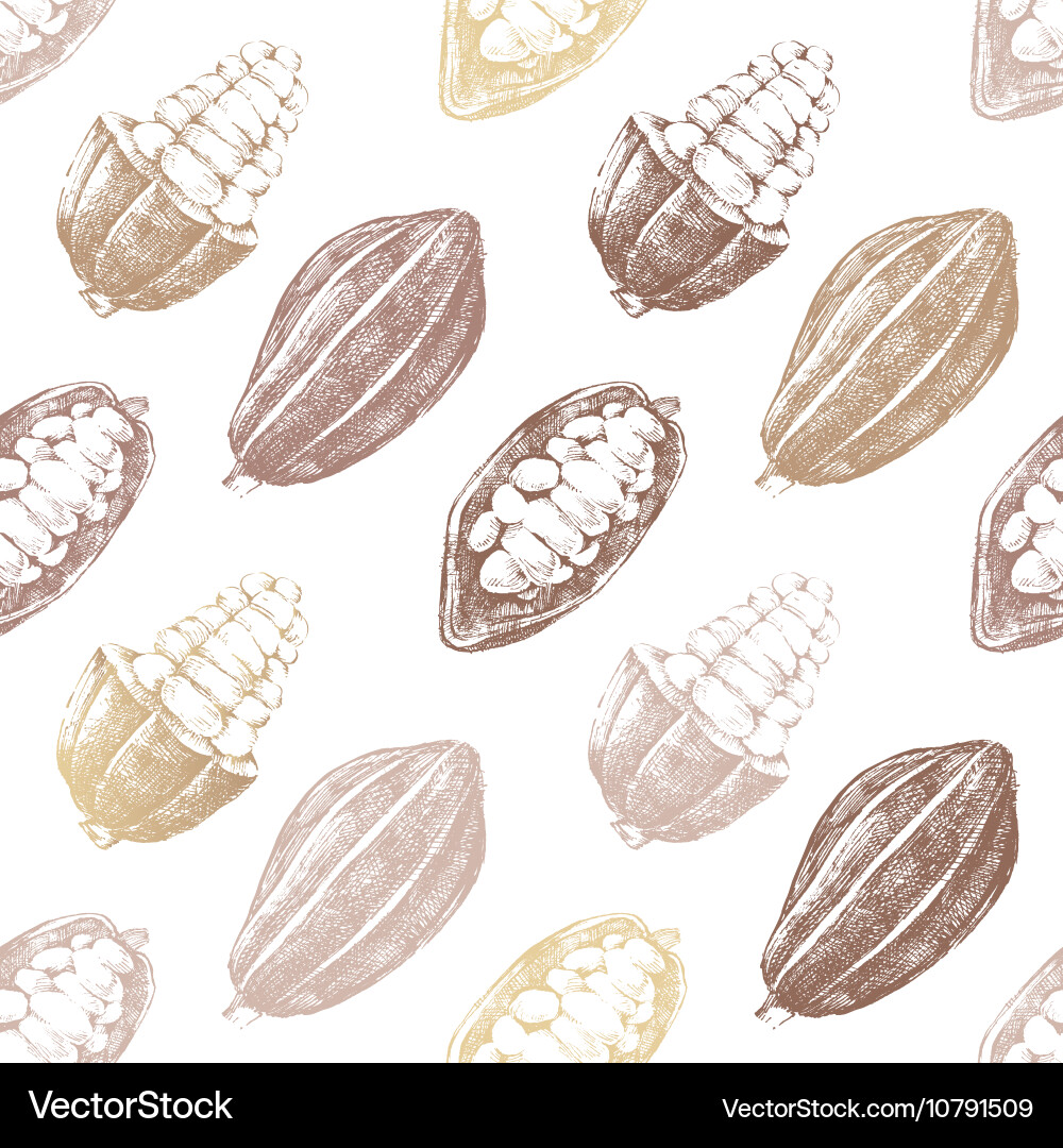 Seamless pattern with cocoa beans vector image