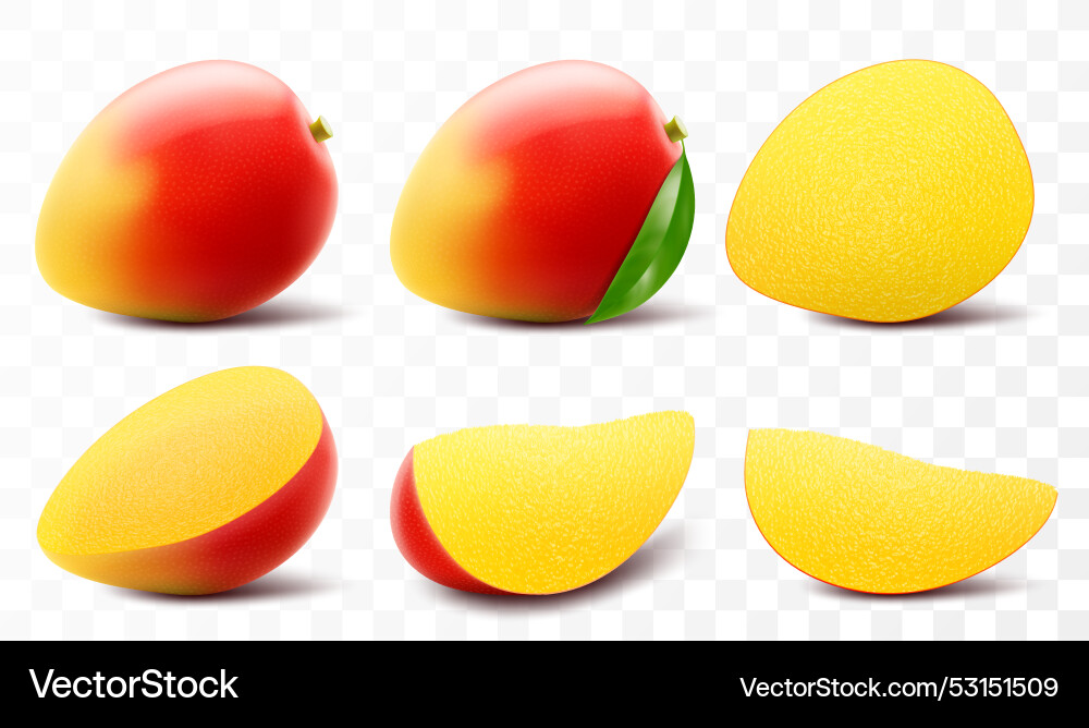 Set aus frischem Mango Obst ganz und Scheiben Set aus frischem Mango Obst ganz und Scheiben vektorbild
