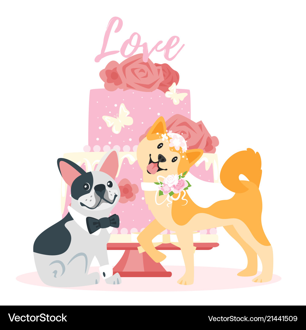 Wedding day with dog Wedding day with dog vector image