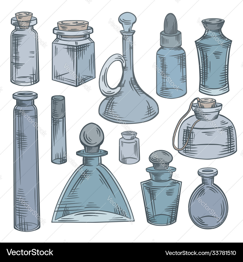 Contour sketch bottles flasks and jars Contour sketch bottles flasks and jars vector image