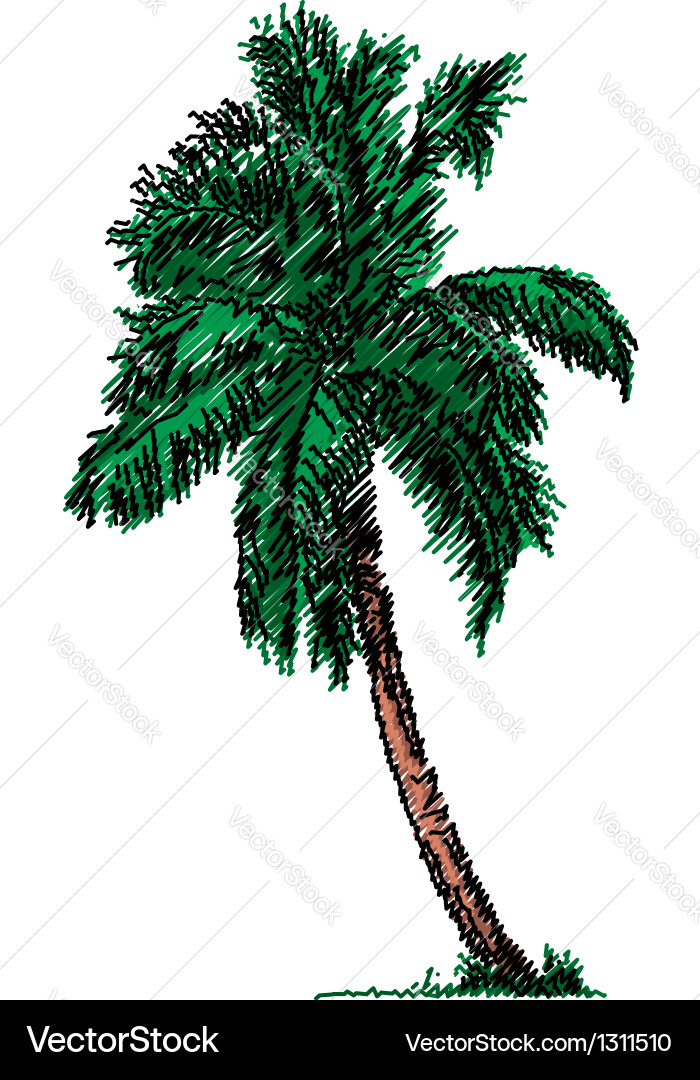 Sketch of a tree Vector Image