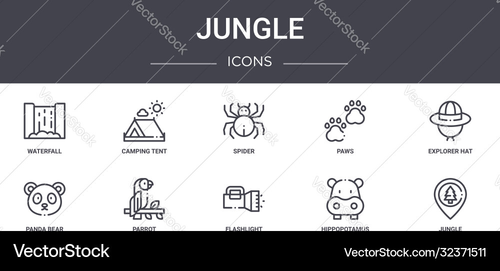 Jungle concept line icons set contains Jungle concept line icons set contains vector image