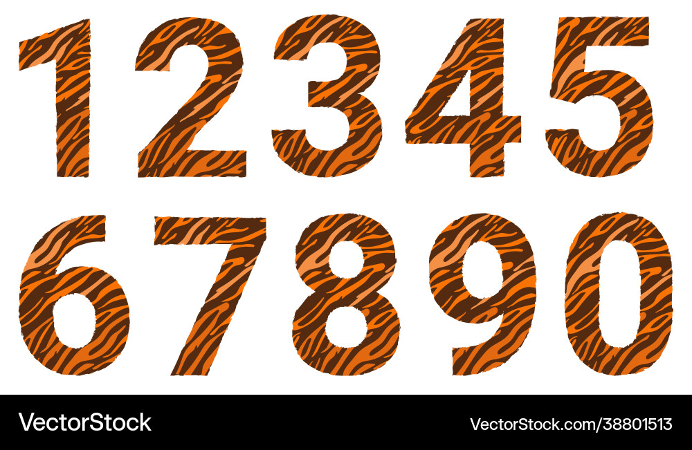 A set numbers with tiger pattern decorative A set numbers with tiger pattern decorative vector image