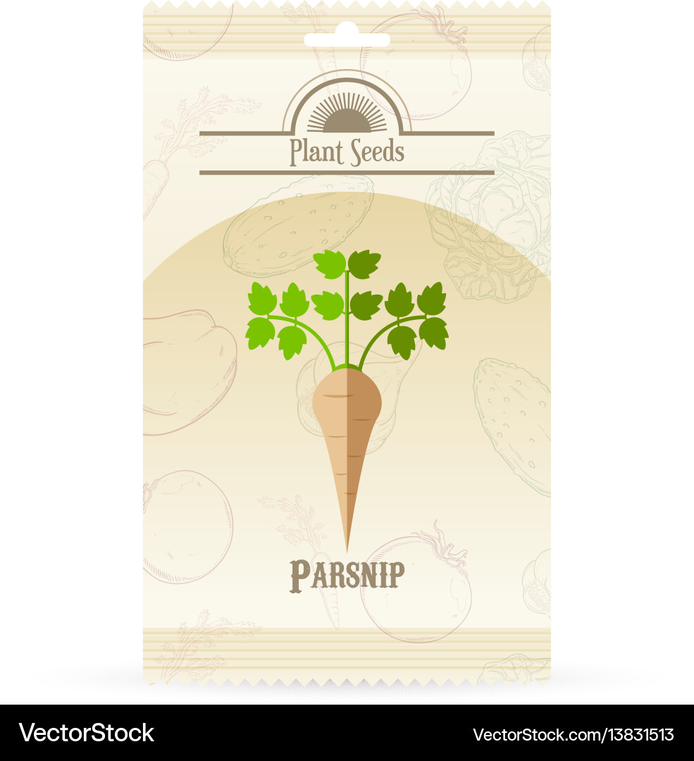 Pack of parsnip seeds icon Pack of parsnip seeds icon vector image