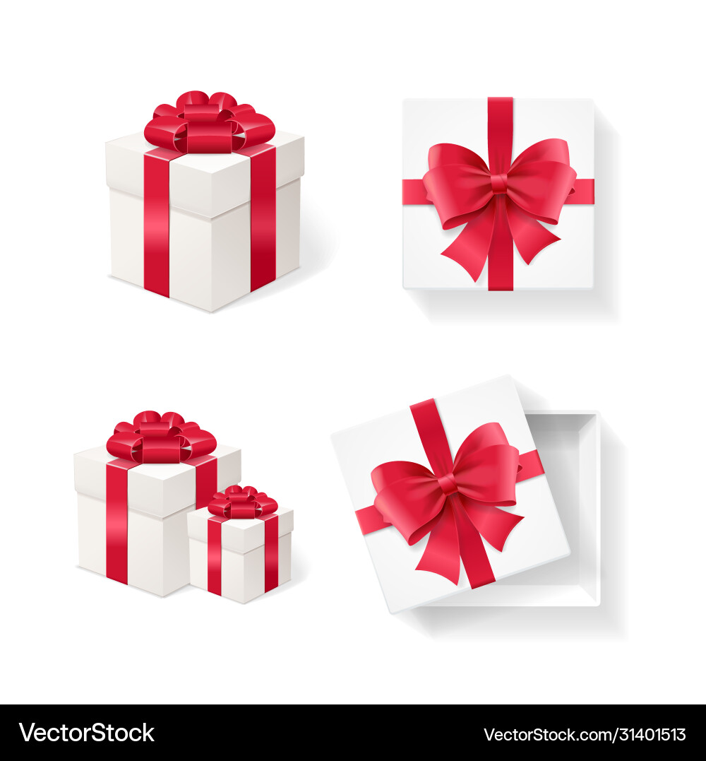 Realistic Empty Boxes with Ribbon vector image
