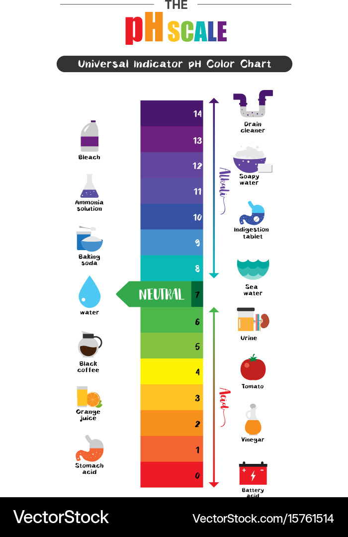 PH Color Chart with Universal Indicators vector image