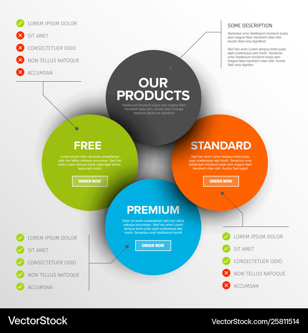 Product features schema template Product features schema template vector image