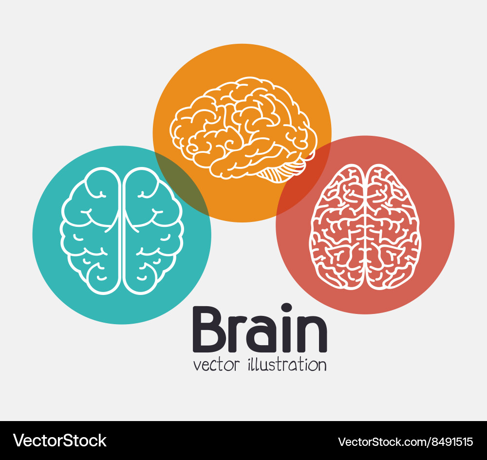 Brainstorming Concepts vector image
