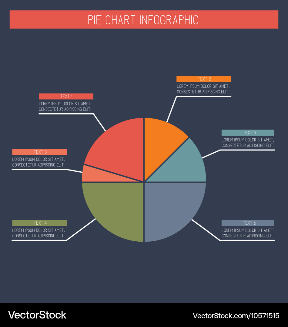 Flat Pie Chart Data Visualization vector image