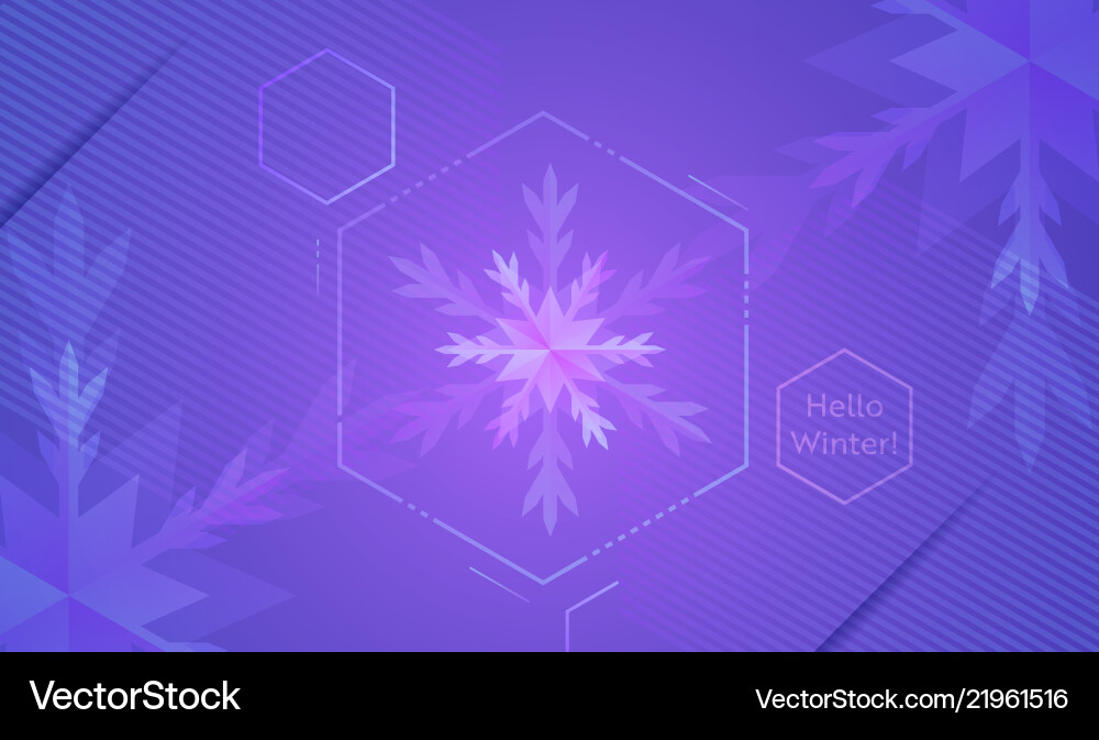 Hello winter layout with snowflakes for web site vector image