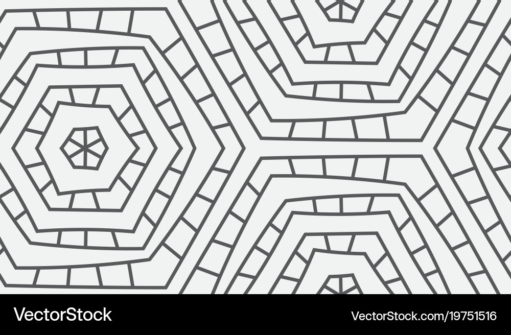 Spiderweb Hexagonal Pattern vector image