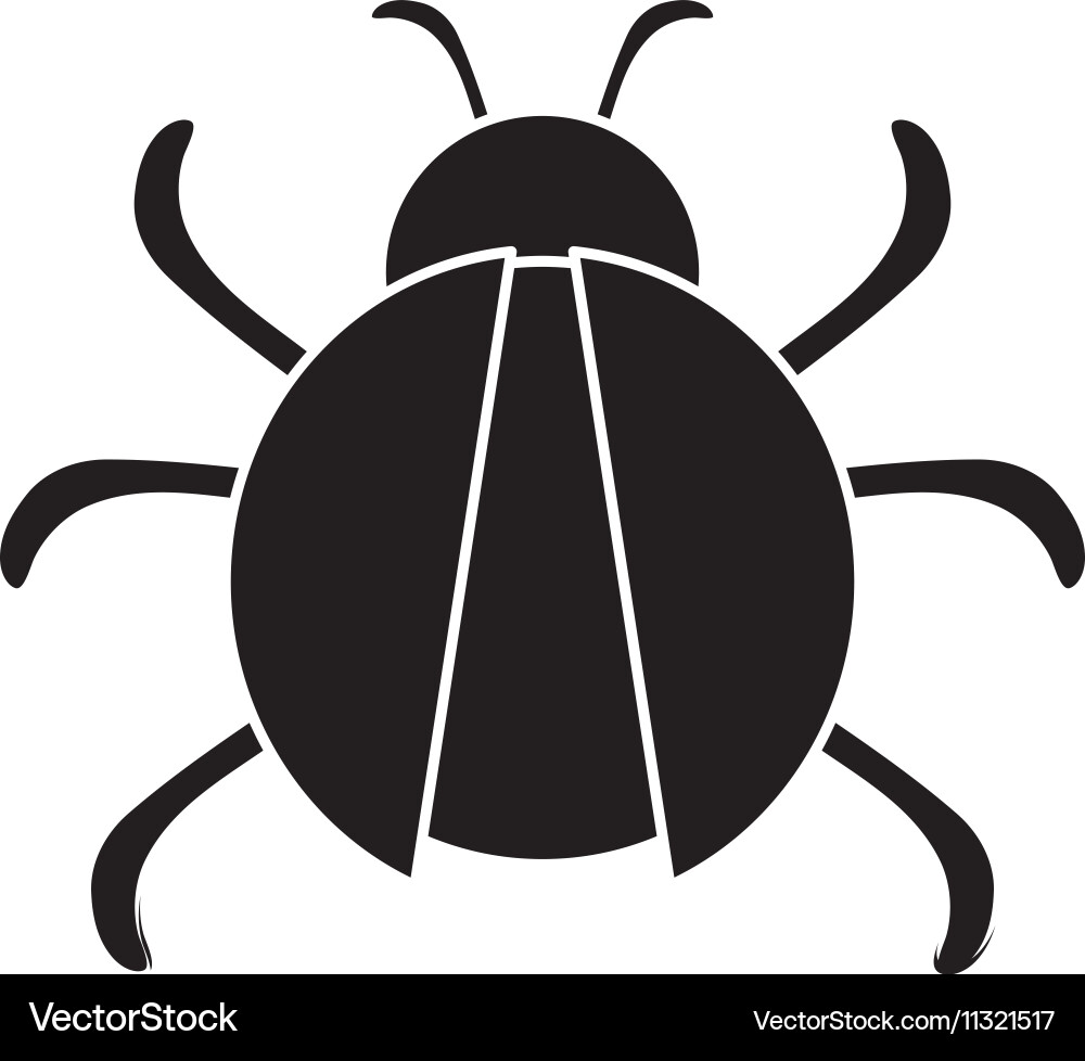 Isolated bug insect design vector image
