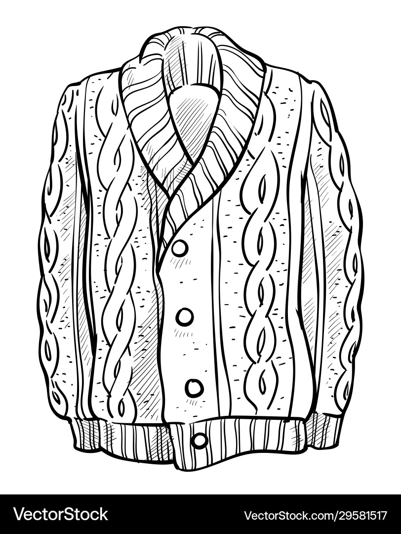 Knitted sweater with braids pattern isolated Vector Image