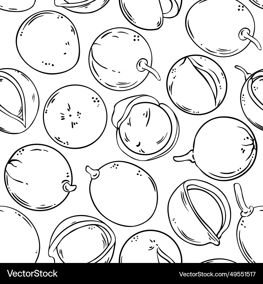 Mongongo nuts pattern on white background Mongongo nuts pattern on white background vector image