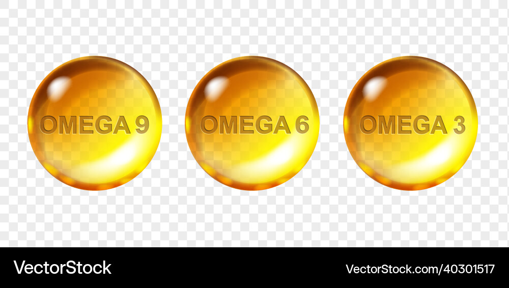 Omega 3 6 polyunsaturated acids pill vector image