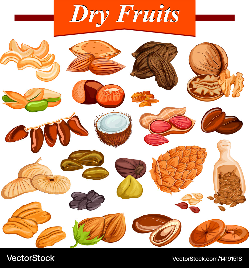 Assorted Dry Fruits and Nuts Set Vector Image