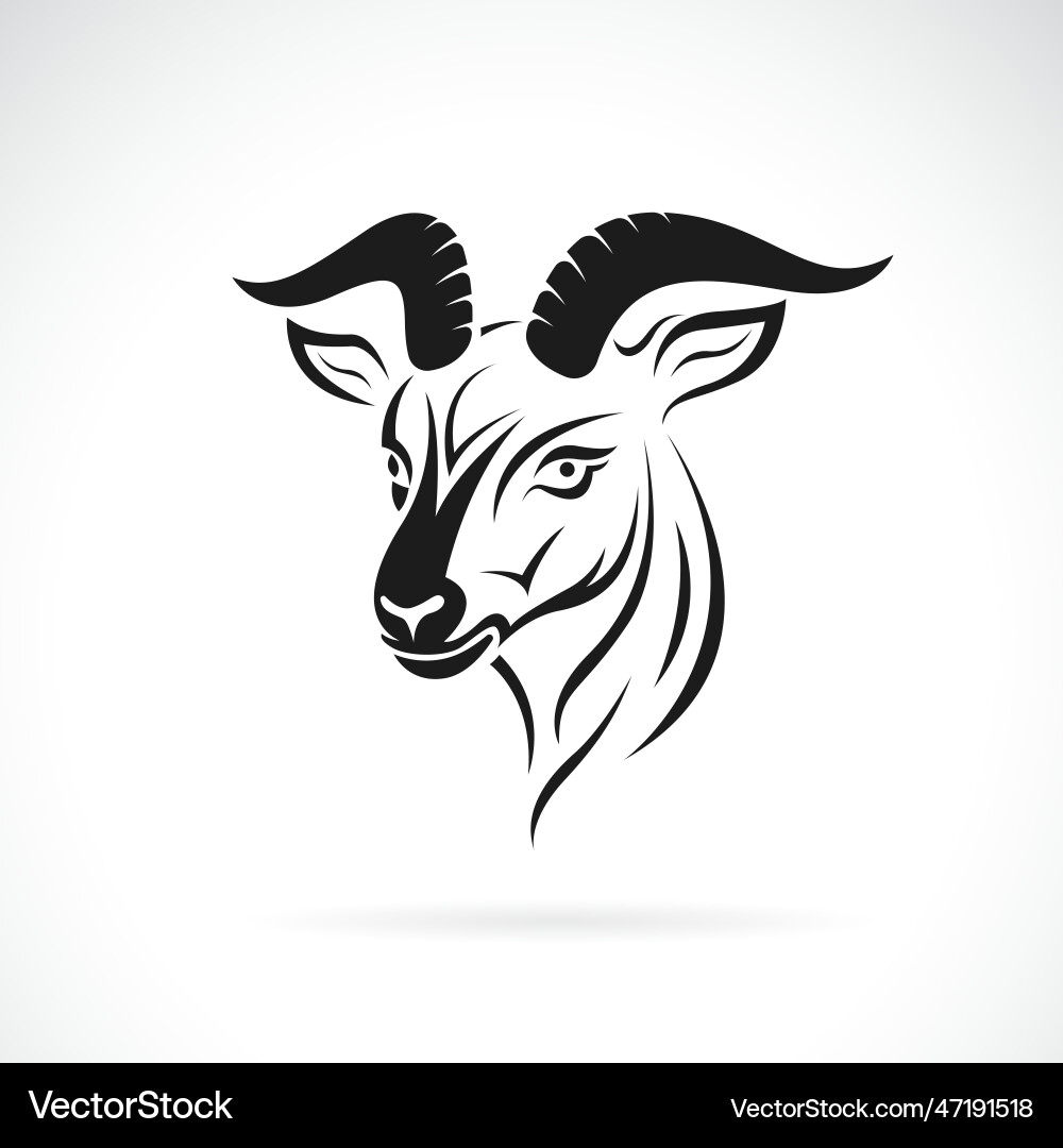 Goat head on white background wild animals Goat head on white background wild animals vector image