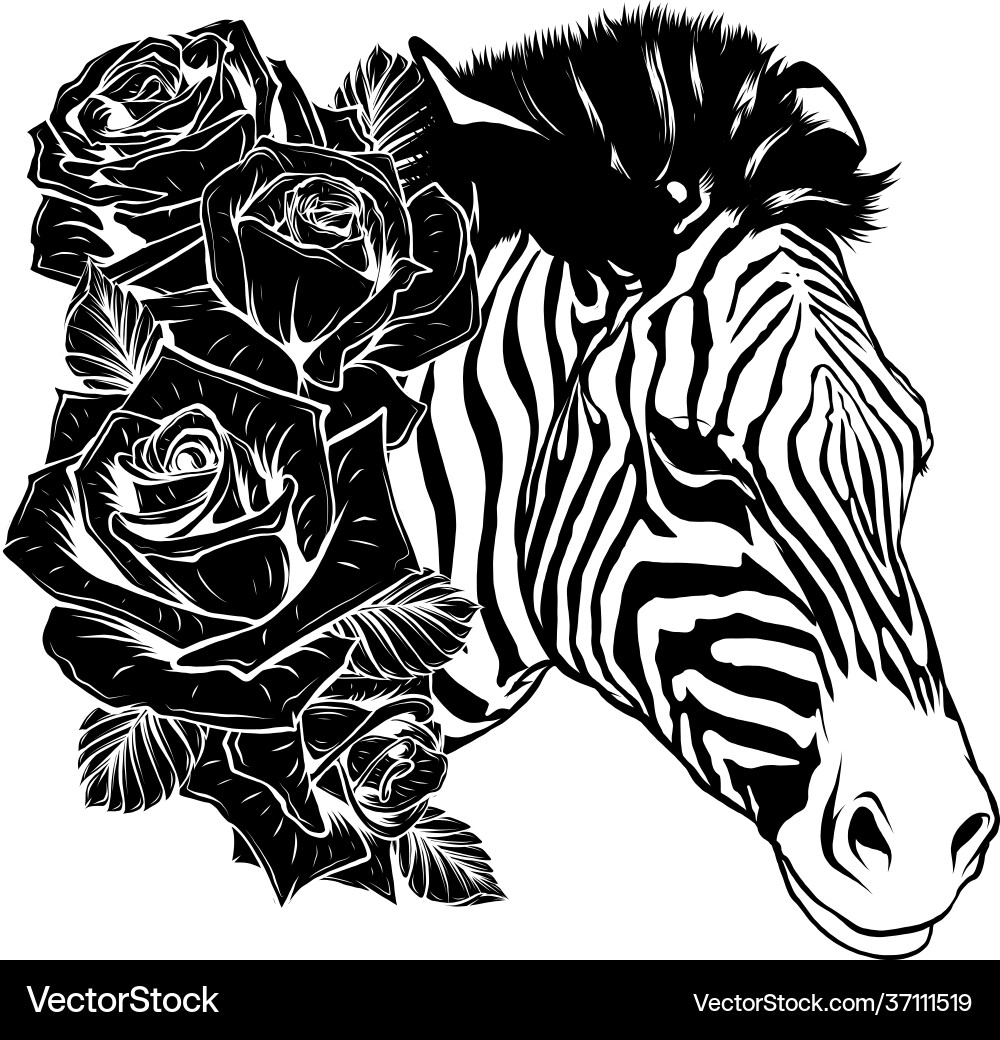 Draw in black and white head zebra with roses Vector Image