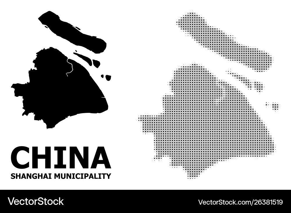 Halftone pattern and solid map shanghai Vector Image
