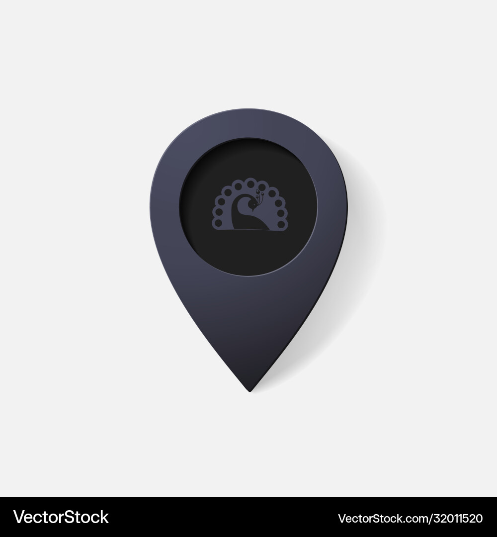 Realistic color pointer peacock vector image