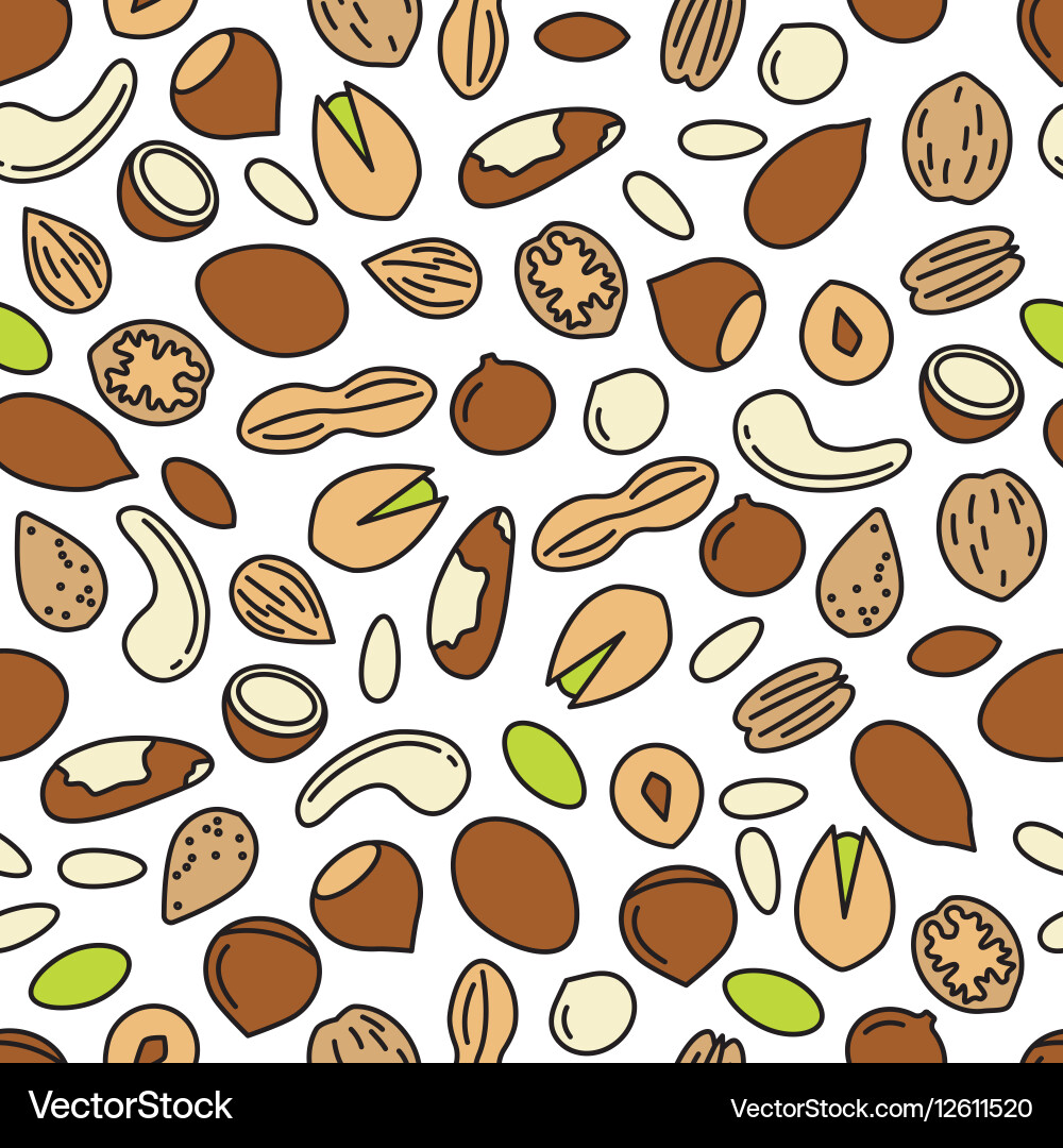 Seamless pattern with nuts vector image
