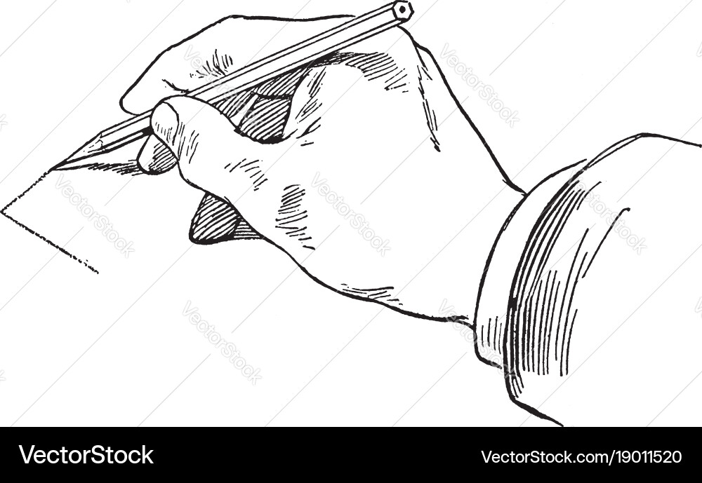 Sketching horizontal line parallel lines vector image