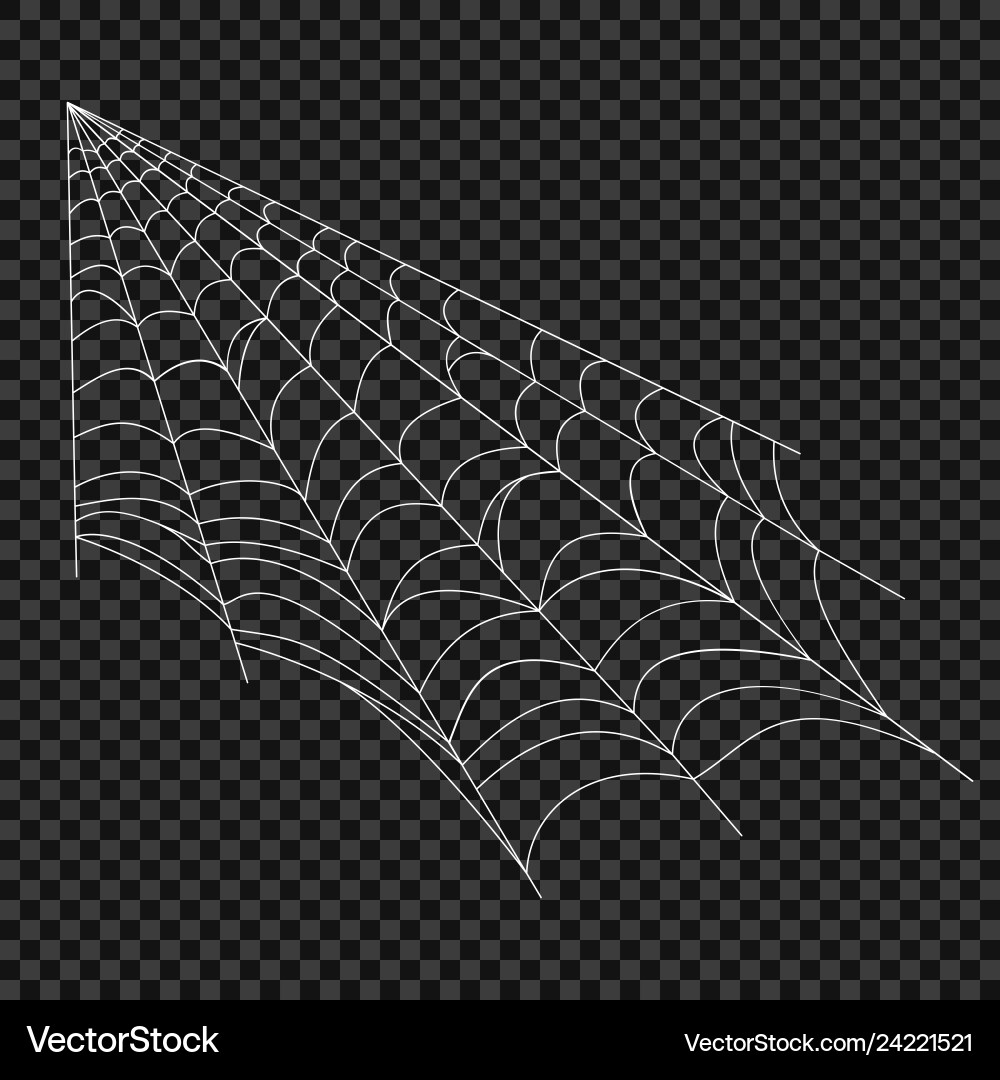 Cobweb spider web Cobweb spider web vector image