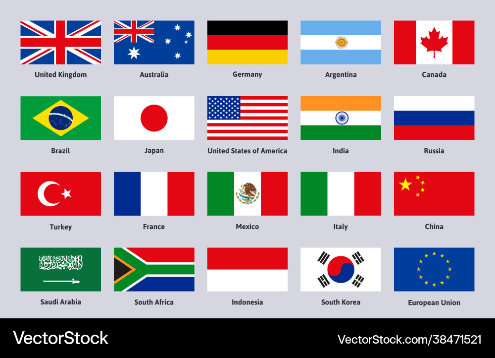 Group of Twenty Flags Vector Image