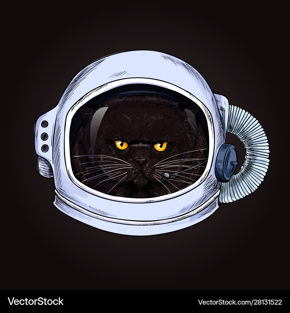 Grumpy Cat in Space Helmet vector image