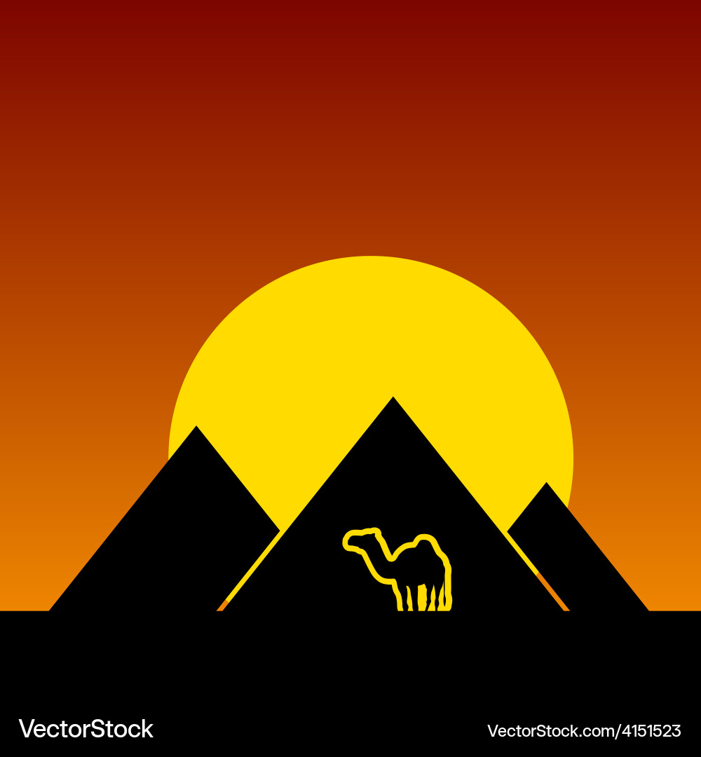 Camel and pyramids color vector image